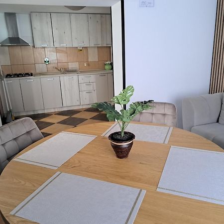 Shelby Accommodation -Adult Only- Синая Екстериор снимка