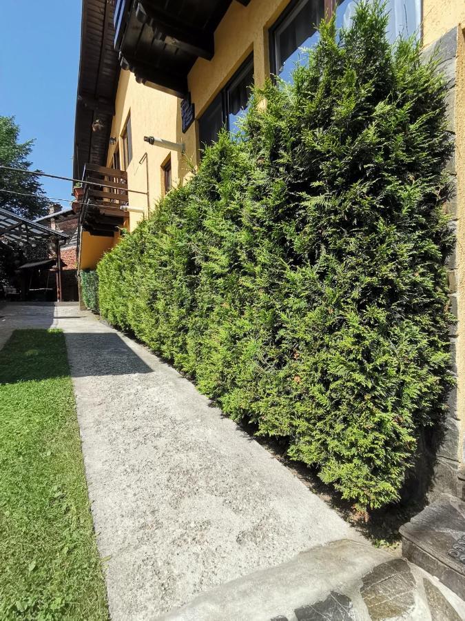 Shelby Accommodation -Adult Only- Синая Екстериор снимка