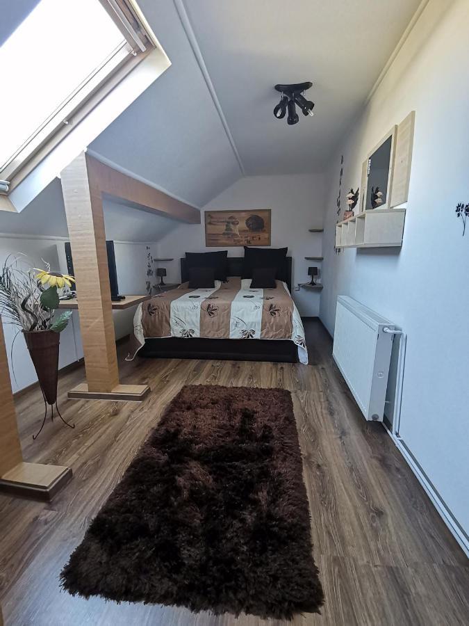 Shelby Accommodation -Adult Only- Синая Стая снимка